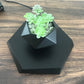 Floating Magnetic Levitating Flowerpot - Innovative Home & Office Decor - Unique Gift Idea