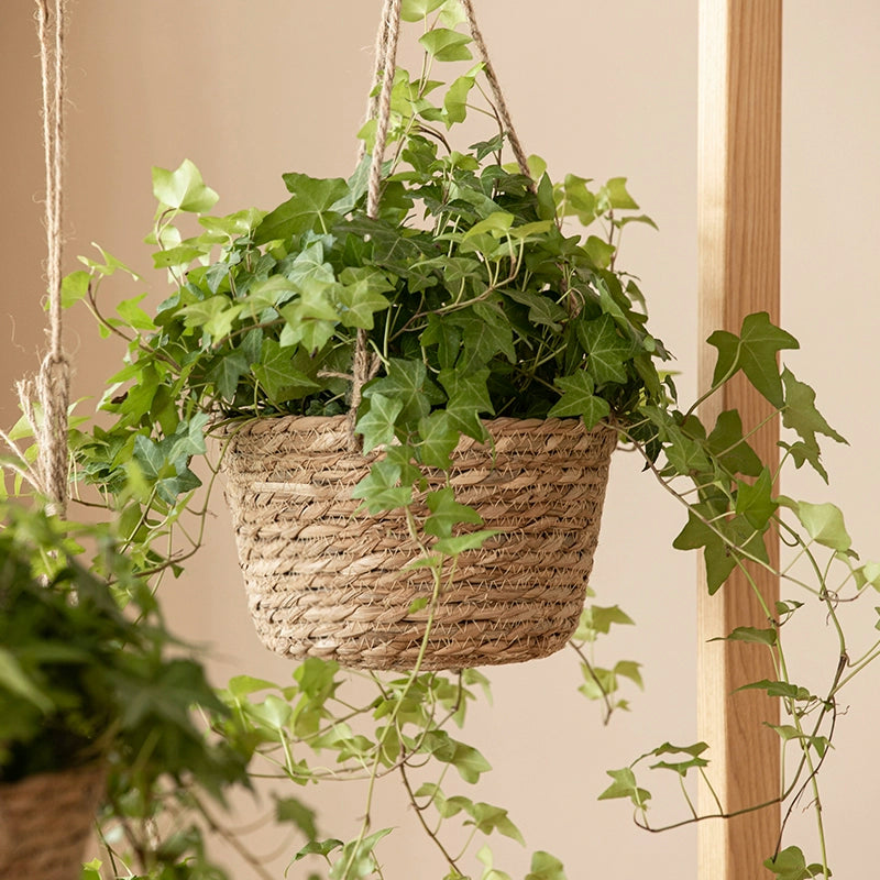 Shangshang Home Hand-Made Straw Baskets Pastoral Style Papyrus Woven Hanging Basket Green Plant Chlorophytum Green Radish Hanging Flower Pot