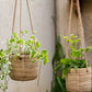 Juhan Imitation Rattan Flower Pot Hanging Basket Cement Flower Tool Hemp Rope Hanging Hanging Chlorophytum Green Radish Flower Basket House Courtyard