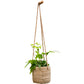 Juhan Imitation Rattan Flower Pot Hanging Basket Cement Flower Tool Hemp Rope Hanging Hanging Chlorophytum Green Radish Flower Basket House Courtyard