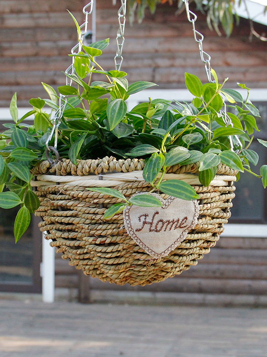 Hanging Creative Green Radish Pot Flower Weaving Chlorophytum