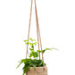 Juhan Imitation Rattan Flower Pot Hanging Basket Cement Flower Tool Hemp Rope Hanging Hanging Chlorophytum Green Radish Flower Basket House Courtyard