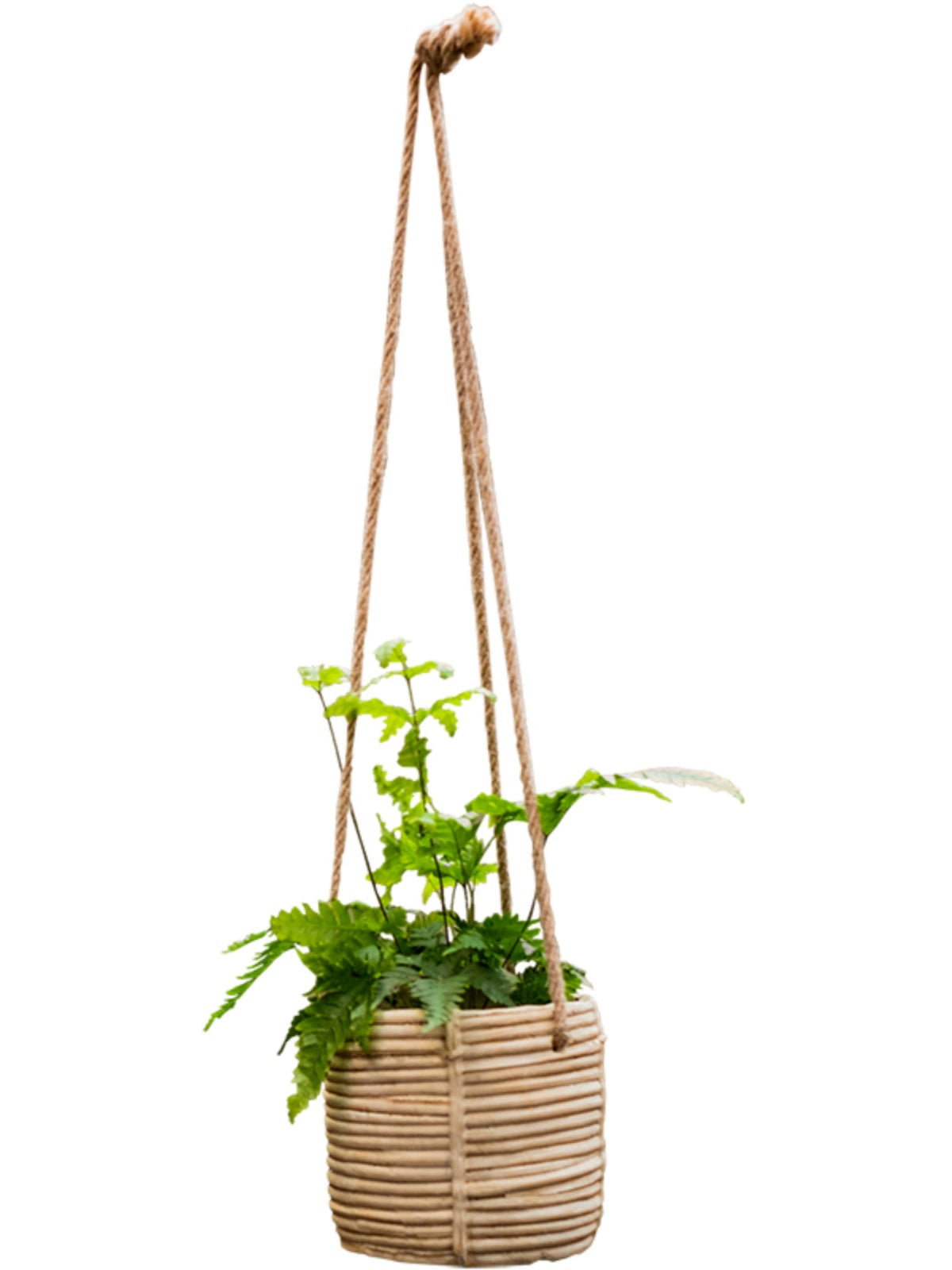 Juhan Imitation Rattan Flower Pot Hanging Basket Cement Flower Tool Hemp Rope Hanging Hanging Chlorophytum Green Radish Flower Basket House Courtyard