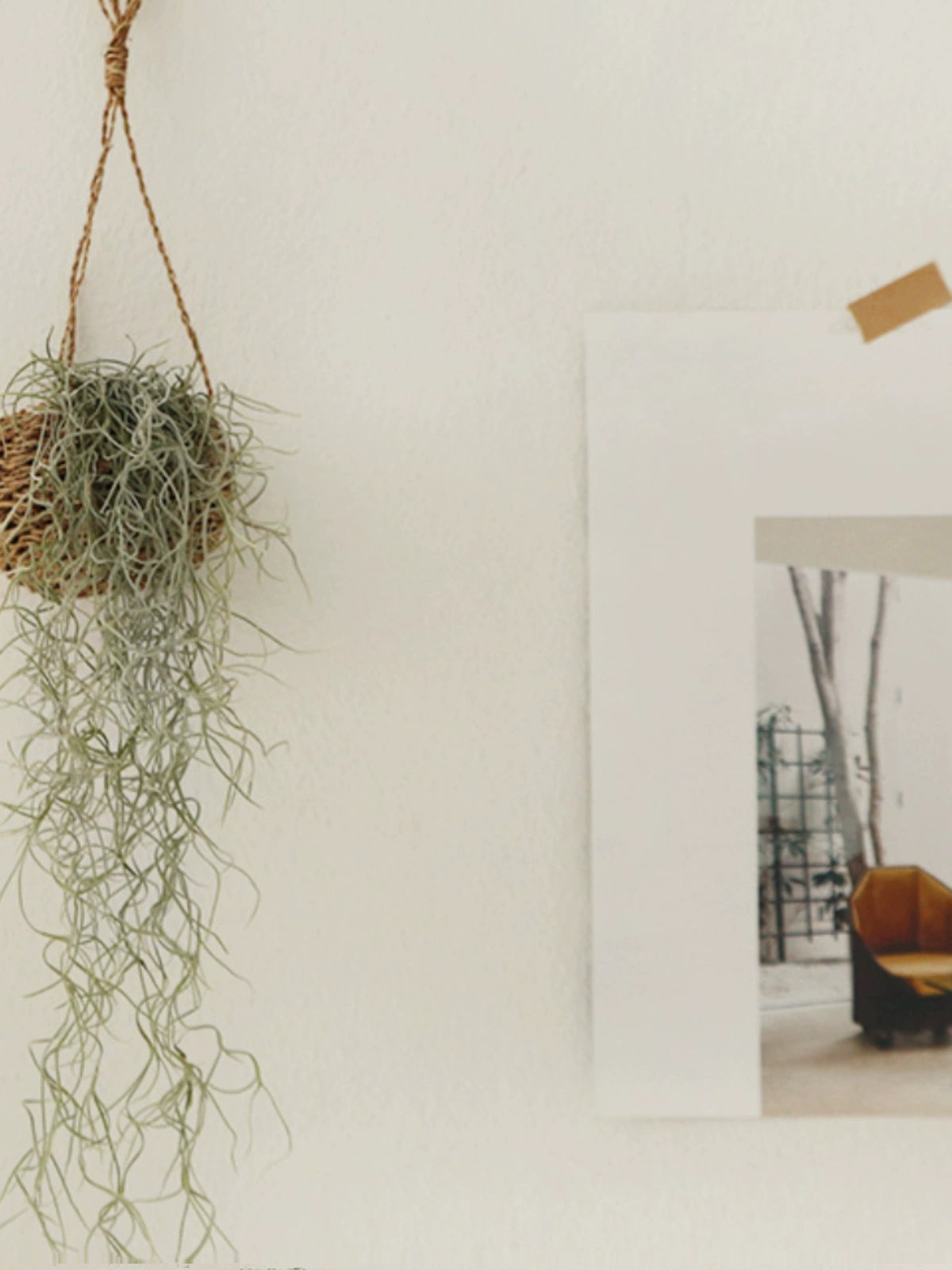Scandinavian Ins Artificial Green Plant Rattan Cradle with Hooks Flowerpot Tillandsia Tillandsia Usneoides Wall Hanging Decorative Hanging Basket