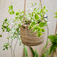 Juhan Imitation Rattan Flower Pot Hanging Basket Cement Flower Tool Hemp Rope Hanging Hanging Chlorophytum Green Radish Flower Basket House Courtyard