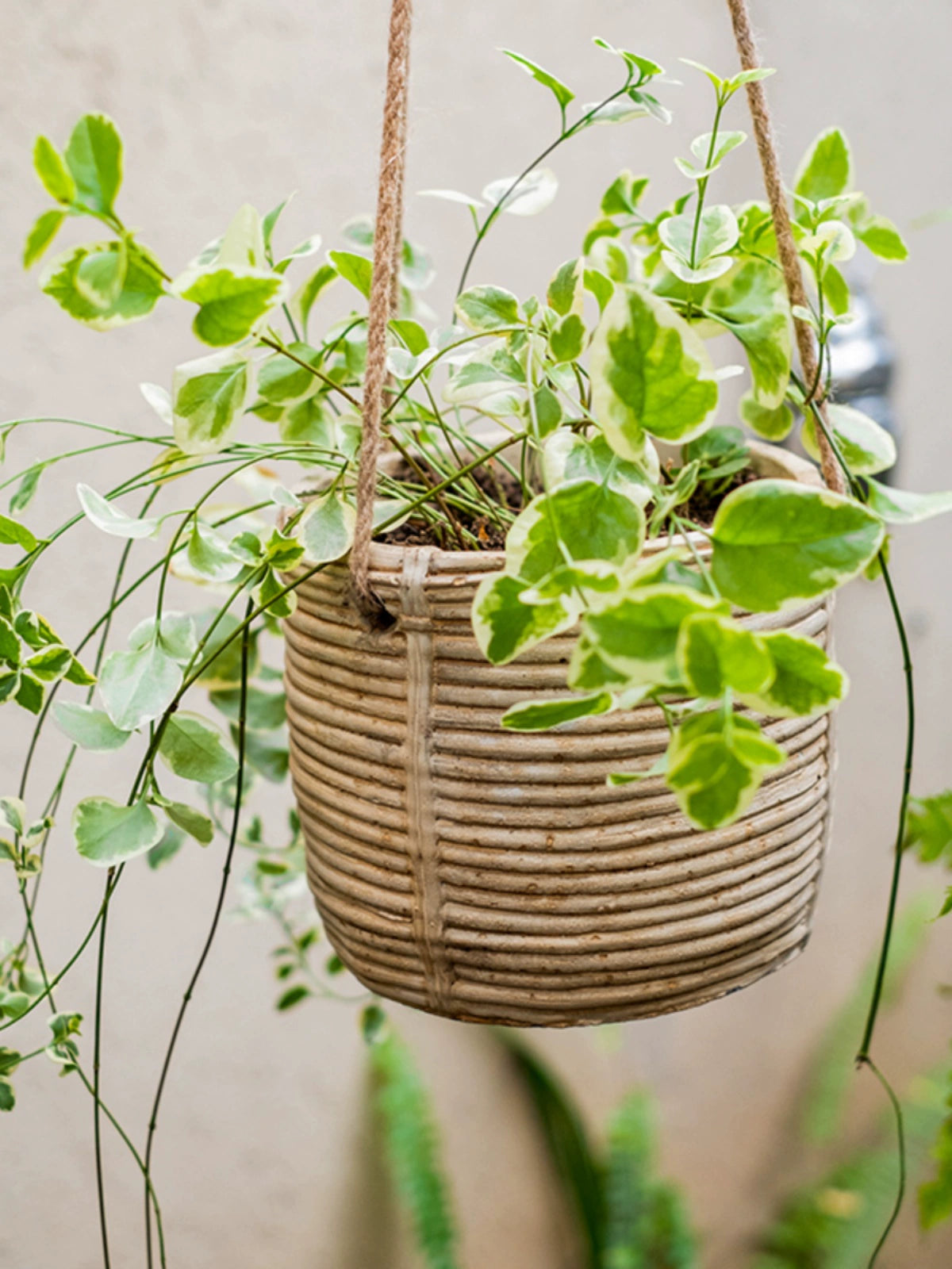 Juhan Imitation Rattan Flower Pot Hanging Basket Cement Flower Tool Hemp Rope Hanging Hanging Chlorophytum Green Radish Flower Basket House Courtyard