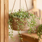 Shangshang Home Hand-Made Straw Baskets Pastoral Style Papyrus Woven Hanging Basket Green Plant Chlorophytum Green Radish Hanging Flower Pot