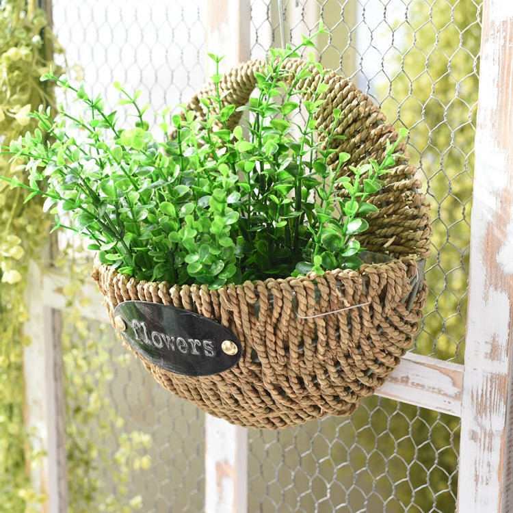 Premium planted hanging baskets for Indoor gardening plant pots