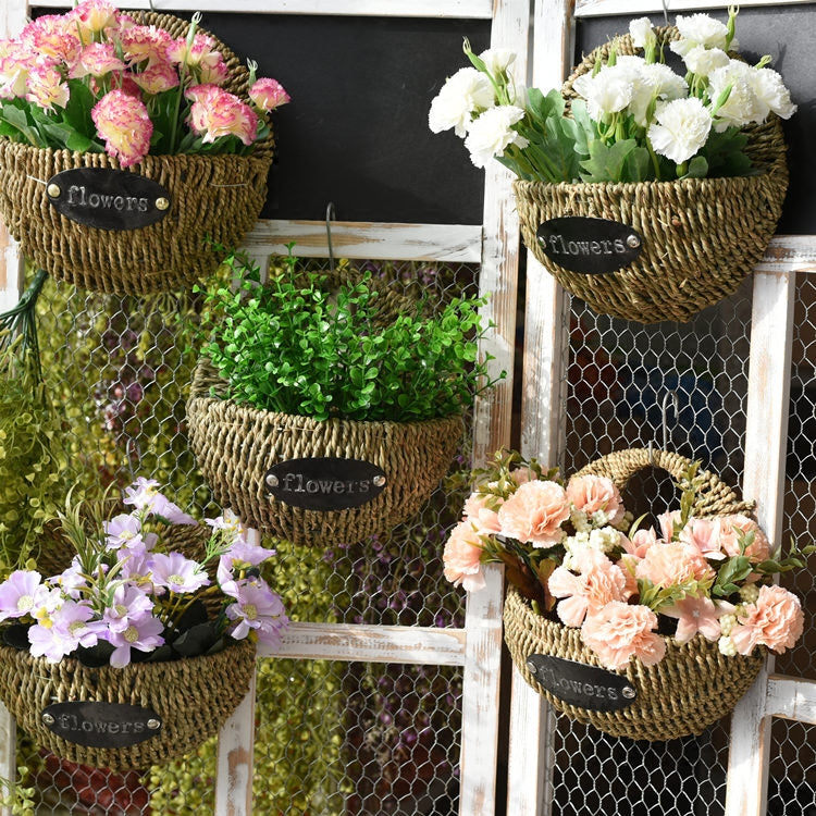 Premium planted hanging baskets for Indoor gardening plant pots